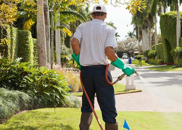 About Amado AZ Pest Control